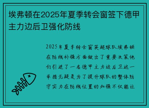 埃弗顿在2025年夏季转会窗签下德甲主力边后卫强化防线 埃弗顿在2025年夏季转会窗签下德甲主力边后卫强化防线