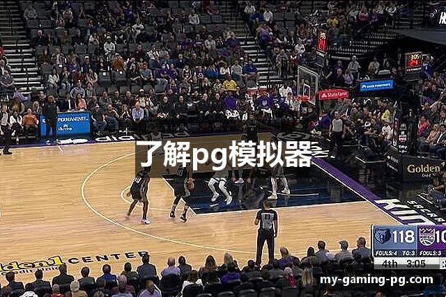 了解pg模拟器